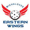 Eastern Wings Michalovce